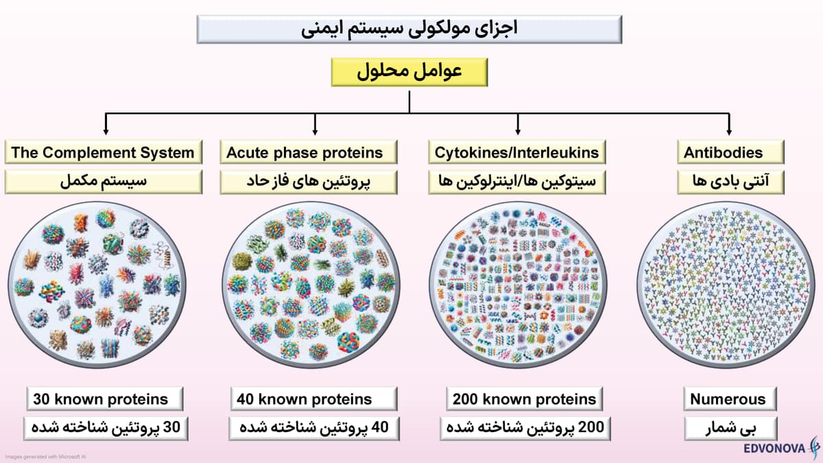 بخش هایی از پوستر ایمونولوژی مصور شرکت پل ایده آل پارس