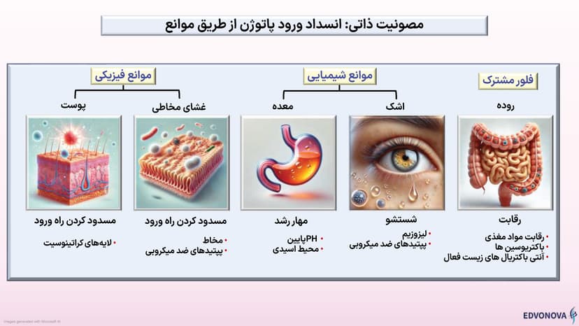 بخش هایی از پوستر ایمونولوژی مصور شرکت پل ایده آل پارس