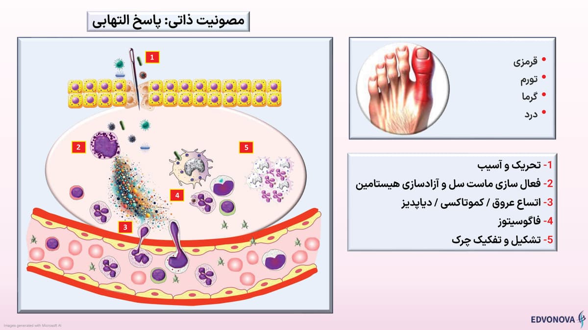 بخش هایی از پوستر ایمونولوژی مصور شرکت پل ایده آل پارس